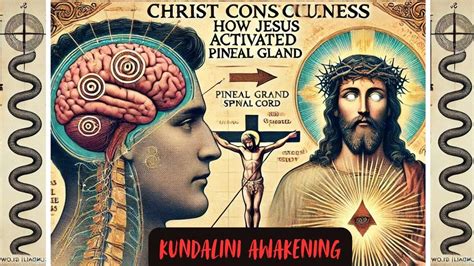 Consciousness Of Jesus