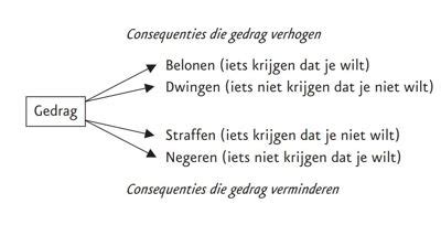 consequenties handelen