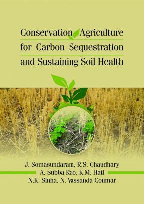 Full Download Conservation Agriculture For Carbon Sequestration And Sustaining Soil Health 