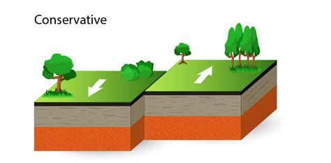 Conservative Plate Margin