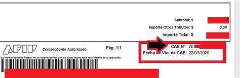 Constancia De Cae Afip