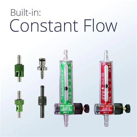 constant flow biography