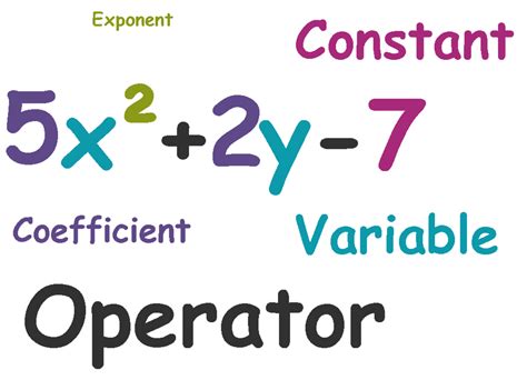 Constant Term In Polynomial
