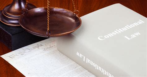 Read Online Constitutional Law Basics 
