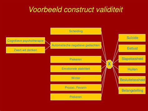 construct validiteit