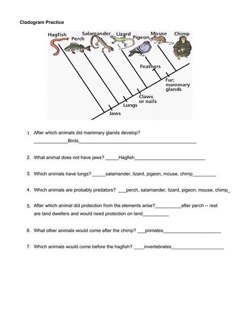 Constructing A Cladogram Worksheet Answers   What Is A Cladogram Key By Biologycorner Tpt - Constructing A Cladogram Worksheet Answers