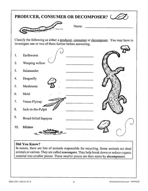 Consumer Producer Amp Decomposer Worksheet By Online Schooltime Producer Consumer Decomposer Worksheet Middle School - Producer Consumer Decomposer Worksheet Middle School
