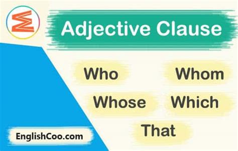 Contoh Adjective Clause