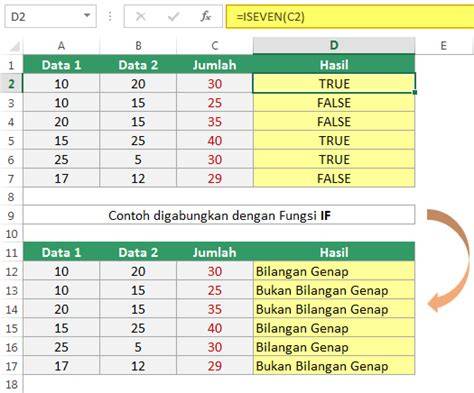 Contoh Bilangan Genap