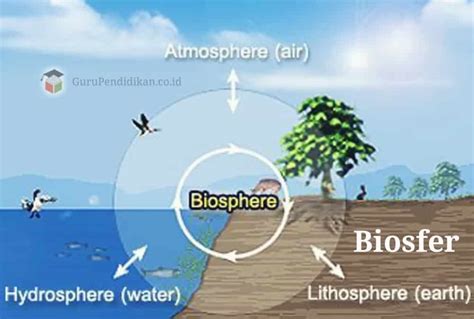 contoh biosfer
