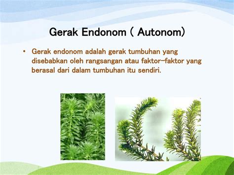 Contoh Gerak Endonom