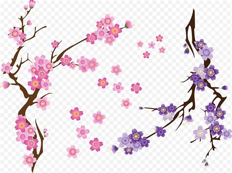 Contoh Gradasi Warna Bunga Sakura Animasi Imagesee Contoh Gradasi - Contoh Gradasi