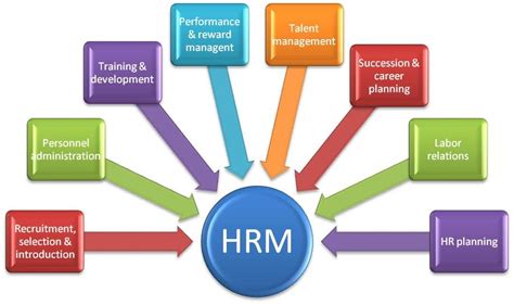 contoh human resource management