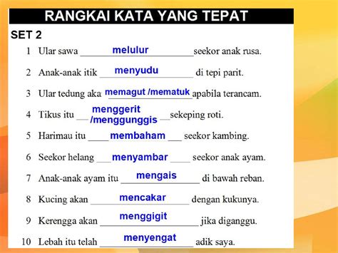 contoh kosakata bahasa indonesia