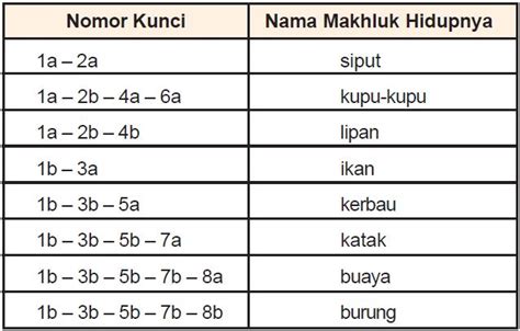 Contoh Kunci Determinasi