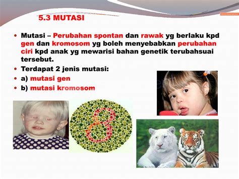 Contoh Mutasi Gen
