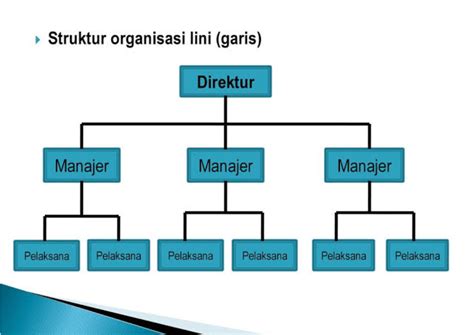 contoh organisasi garis