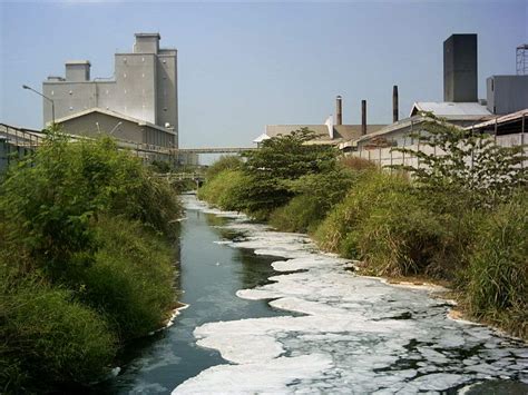 contoh pencemaran air
