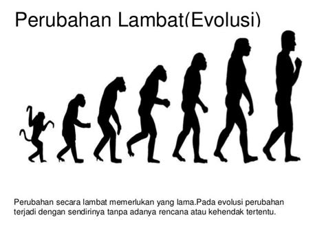contoh perubahan evolusi