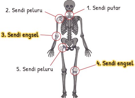 Contoh Sendi Putar