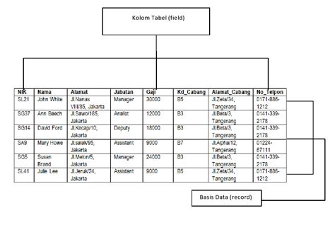 contoh struktur database