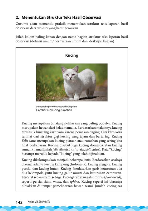 contoh teks descriptive tentang kucing