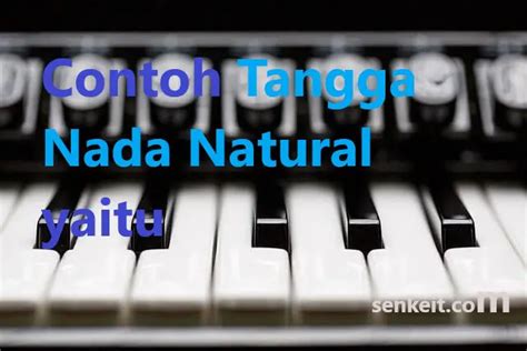 CONTOH TANGGA NADA NATURAL YAITU - Jenis Interval Nada dalam Seni Musik yang Perlu Diketahui