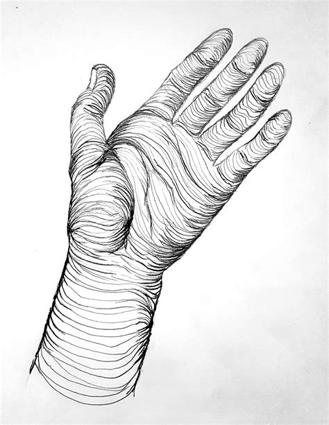 Contour Hand Drawling