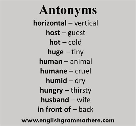 Contradict Antonym