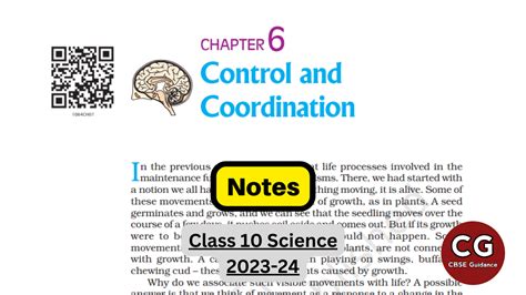 Control And Coordination Class 10 Handwritten Notes
