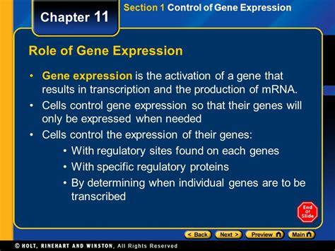 Download Control Of Gene Expression Section 11 1 Review Answers 