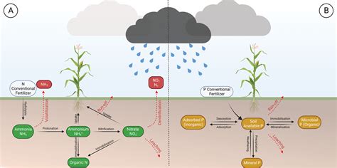 Controlled Release Fertilizers And Climate Smart Agriculture Springer Cause And Effect Science - Cause And Effect Science