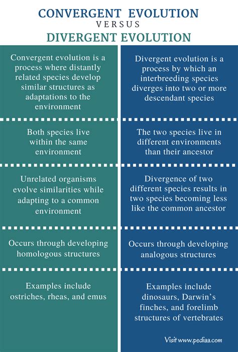 Convergent Versus Divergent Evolution