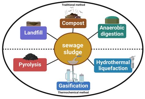 Conversion Of Sewage Sludge To Biosolids Springer