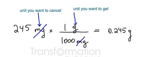 Convert Mg To G
