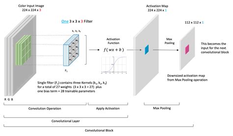 convolutional meaning