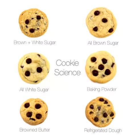 Cookies Life Sciences Science Of Cookies - Science Of Cookies