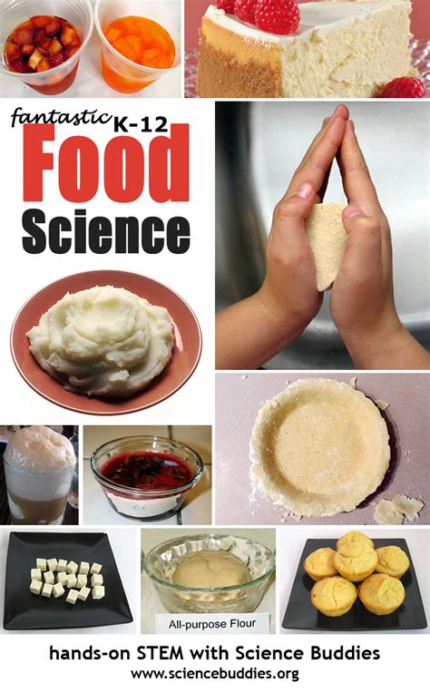 Cooking Amp Food Science Projects Lessons Activities Cooking With Science - Cooking With Science