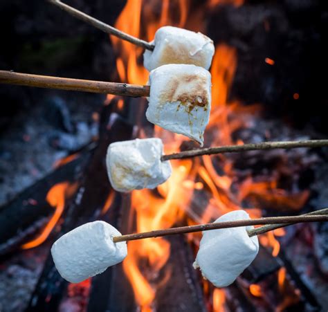cooking marshmallows