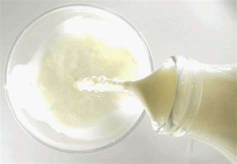 Cooking With Semen