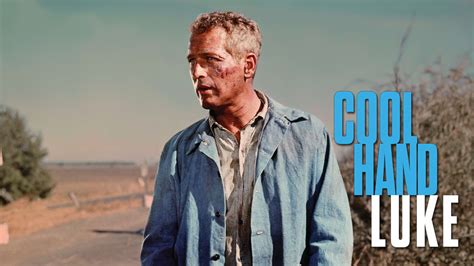 Cool Hand Look