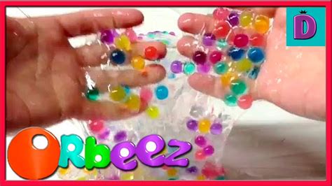Cool Orbeez Science Experiments And Diy Youtube Orbeez Science Experiment - Orbeez Science Experiment