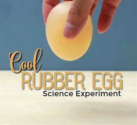 Cool Rubber Egg Science Experiment Hip Homeschool Moms Rubber Egg Experiment Worksheet - Rubber Egg Experiment Worksheet