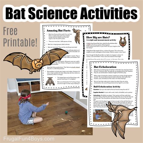 Cool Science Activities With Bats Frugal Fun For Bat Science Activities - Bat Science Activities