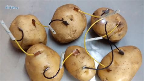 Cool Science Experiment Potato Battery Youtube Potato Battery Science Experiment - Potato Battery Science Experiment