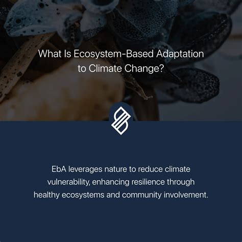 Coordinator Climate Change Adaptation Ecosystem