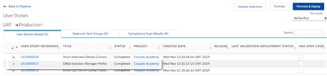 Copado How To Deploy Permissions And Profiles
