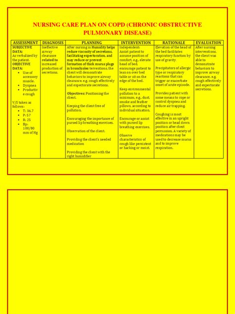 Copd Care Plan