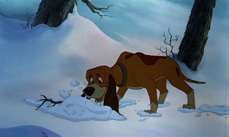 Copper Fox And Hound