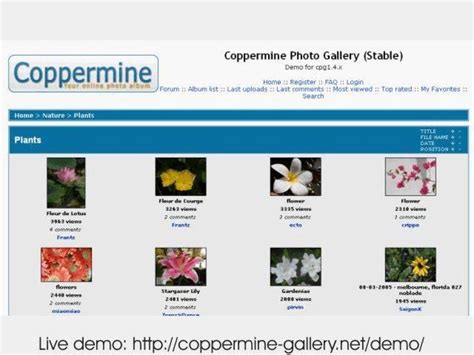 coppermine photo gallery video plug ins